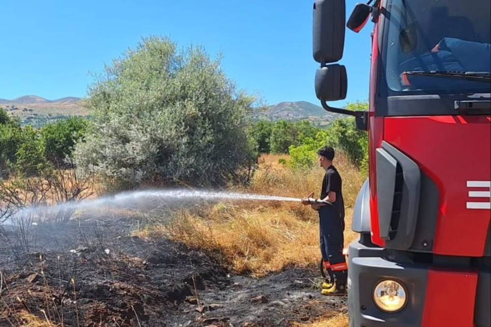 Bing&ouml;l'de yangın ormana sı&ccedil;ramadan s&ouml;nd&uuml;r&uuml;ld&uuml;