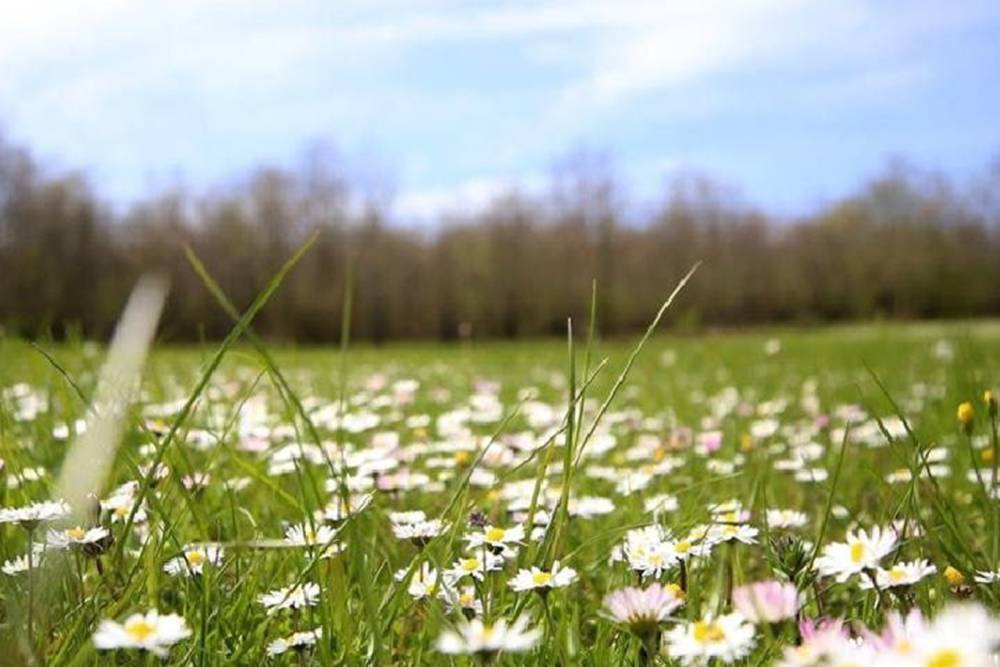 Son cemre toprağa d&uuml;şt&uuml;