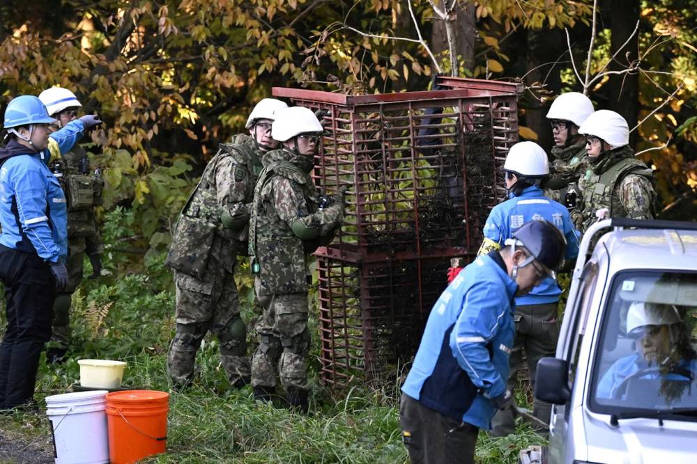Japonya'dan artan ayı saldırılarına karşı &ouml;nlem