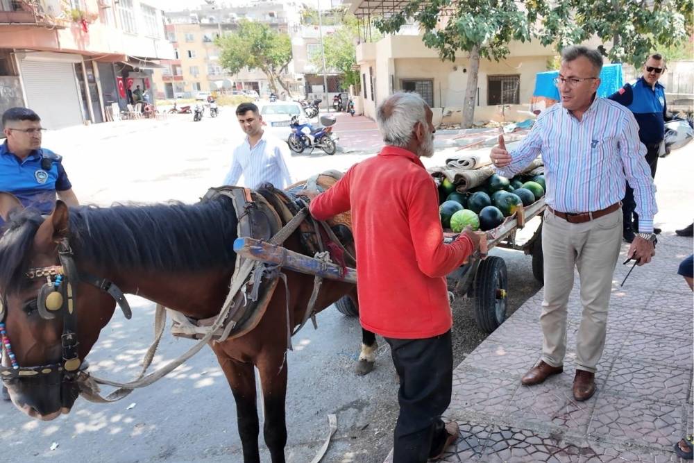 Mersin'de karpuz y&uuml;kl&uuml; arabayı &ccedil;ekerken bitkin d&uuml;şen at koruma altına alındı