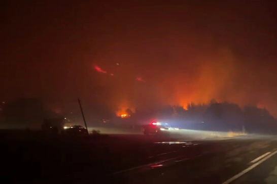 Bursa Karacabey'de orman yangını! R&uuml;zgarın etkisiyle b&uuml;y&uuml;yor