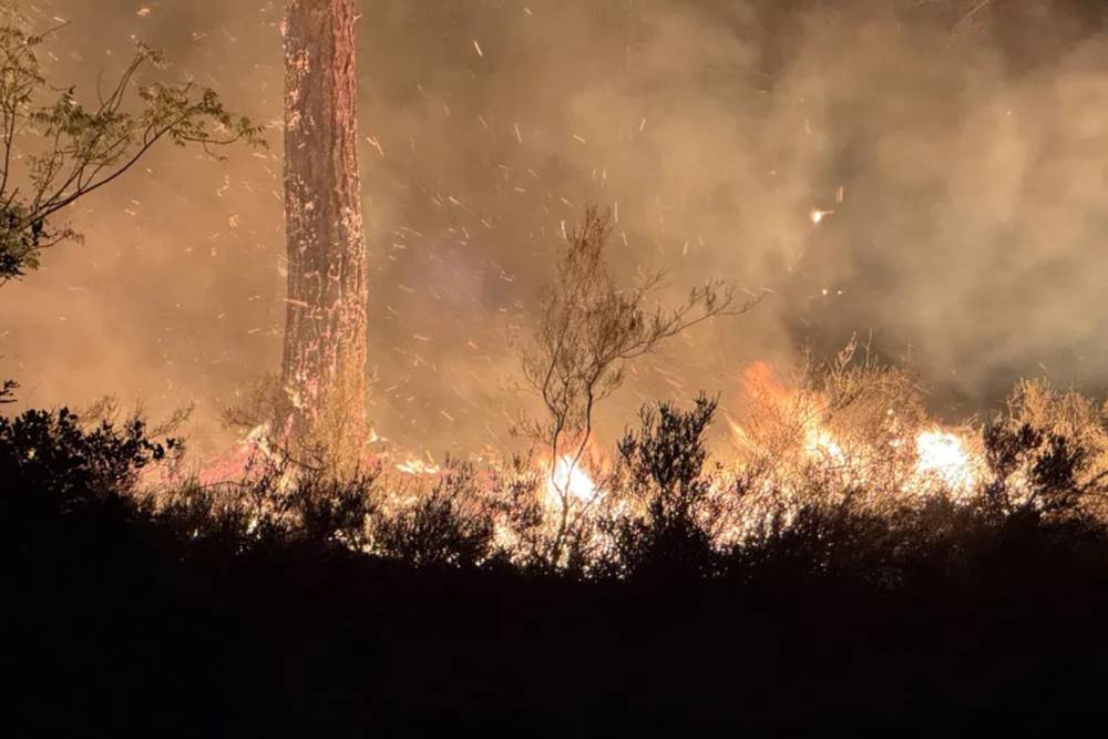 Kastamonu&rsquo;da orman yangını 