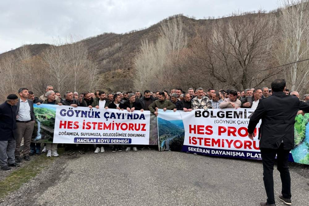 Bing&ouml;l&rsquo;de HES tepkisi: &Ccedil;ocuklarımızın yarınlarını karartmayın